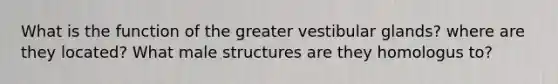 What is the function of the greater vestibular glands? where are they located? What male structures are they homologus to?