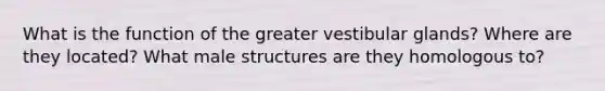 What is the function of the greater vestibular glands? Where are they located? What male structures are they homologous to?