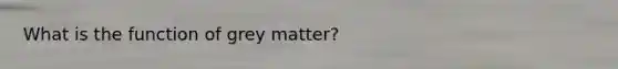 What is the function of grey matter?