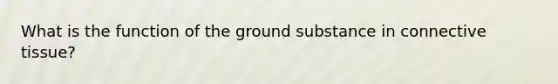 What is the function of the ground substance in connective tissue?