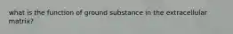 what is the function of ground substance in the extracellular matrix?