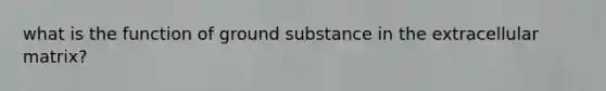 what is the function of ground substance in the extracellular matrix?