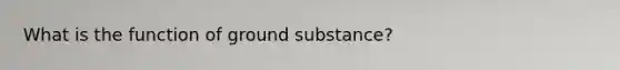 What is the function of ground substance?