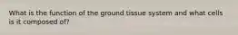 What is the function of the ground tissue system and what cells is it composed of?