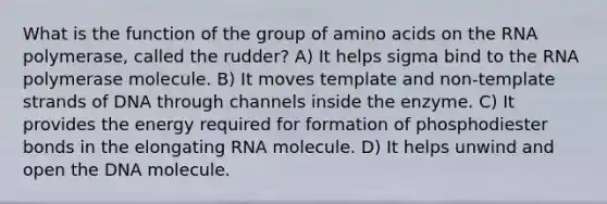 What is the function of the group of amino acids on the RNA polymerase, called the rudder? A) It helps sigma bind to the RNA polymerase molecule. B) It moves template and non-template strands of DNA through channels inside the enzyme. C) It provides the energy required for formation of phosphodiester bonds in the elongating RNA molecule. D) It helps unwind and open the DNA molecule.