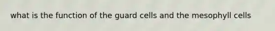 what is the function of the guard cells and the mesophyll cells