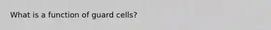 What is a function of guard cells?