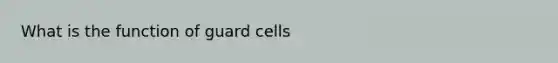 What is the function of guard cells