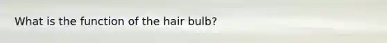 What is the function of the hair bulb?