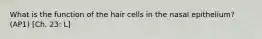 What is the function of the hair cells in the nasal epithelium? (AP1) [Ch. 23: L]