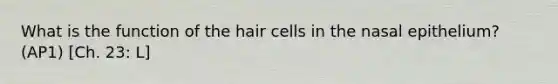 What is the function of the hair cells in the nasal epithelium? (AP1) [Ch. 23: L]