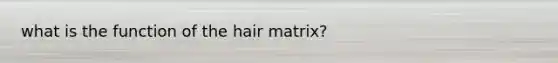 what is the function of the hair matrix?