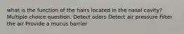 what is the function of the hairs located in the nasal cavity? Multiple choice question. Detect odors Detect air pressure Filter the air Provide a mucus barrier