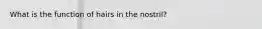 What is the function of hairs in the nostril?