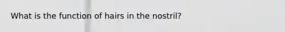 What is the function of hairs in the nostril?