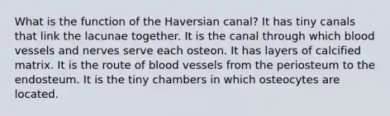 What is the function of the Haversian canal? It has tiny canals that link the lacunae together. It is the canal through which <a href='https://www.questionai.com/knowledge/kZJ3mNKN7P-blood-vessels' class='anchor-knowledge'>blood vessels</a> and nerves serve each osteon. It has layers of calcified matrix. It is the route of blood vessels from the periosteum to the endosteum. It is the tiny chambers in which osteocytes are located.