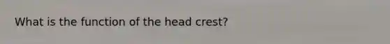 What is the function of the head crest?