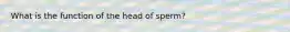 What is the function of the head of sperm?