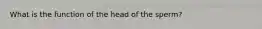 What is the function of the head of the sperm?