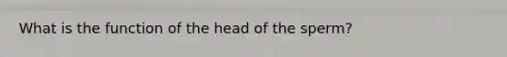 What is the function of the head of the sperm?