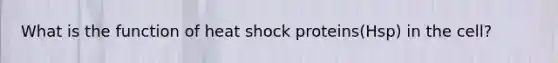 What is the function of heat shock proteins(Hsp) in the cell?