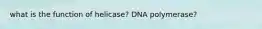 what is the function of helicase? DNA polymerase?