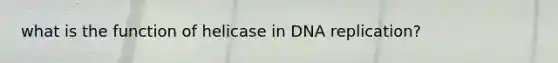 what is the function of helicase in DNA replication?