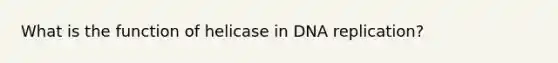 What is the function of helicase in DNA replication?