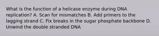 What is the function of a helicase enzyme during DNA replication? A. Scan for mismatches B. Add primers to the lagging strand C. Fix breaks in the sugar phosphate backbone D. Unwind the double stranded DNA