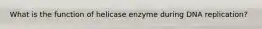 What is the function of helicase enzyme during DNA replication?