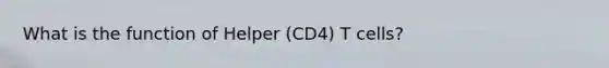 What is the function of Helper (CD4) T cells?