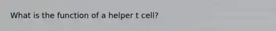 What is the function of a helper t cell?