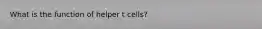 What is the function of helper t cells?