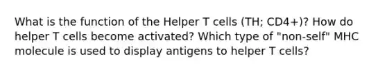 What is the function of the Helper T cells (TH; CD4+)? How do helper T cells become activated? Which type of "non-self" MHC molecule is used to display antigens to helper T cells?