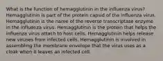 What is the function of hemagglutinin in the influenza virus? Hemagglutinin is part of the protein capsid of the influenza virus. Hemagglutinin is the name of the reverse transcriptase enzyme in the influenza virus. Hemagglutinin is the protein that helps the influenza virus attach to host cells. Hemagglutinin helps release new viruses from infected cells. Hemagglutinin is involved in assembling the membrane envelope that the virus uses as a cloak when it leaves an infected cell.