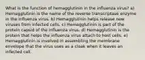 What is the function of hemagglutinin in the influenza virus? a) Hemagglutinin is the name of the reverse transcriptase enzyme in the influenza virus. b) Hemagglutinin helps release new viruses from infected cells. c) Hemagglutinin is part of the protein capsid of the influenza virus. d) Hemagglutinin is the protein that helps the influenza virus attach to host cells. e) Hemagglutinin is involved in assembling the membrane envelope that the virus uses as a cloak when it leaves an infected cell.