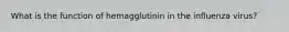 What is the function of hemagglutinin in the influenza virus?