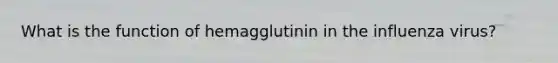 What is the function of hemagglutinin in the influenza virus?
