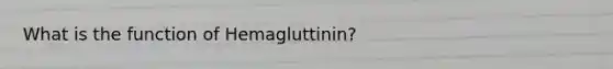 What is the function of Hemagluttinin?