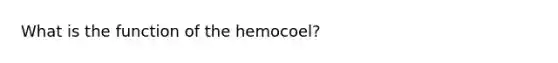 What is the function of the hemocoel?