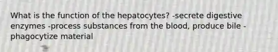 What is the function of the hepatocytes? -secrete digestive enzymes -process substances from the blood, produce bile -phagocytize material