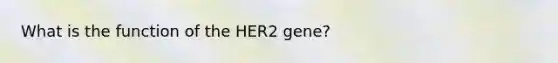 What is the function of the HER2 gene?