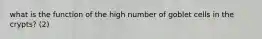 what is the function of the high number of goblet cells in the crypts? (2)