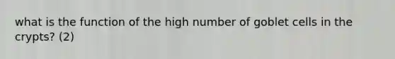 what is the function of the high number of goblet cells in the crypts? (2)