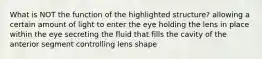 What is NOT the function of the highlighted structure? allowing a certain amount of light to enter the eye holding the lens in place within the eye secreting the fluid that fills the cavity of the anterior segment controlling lens shape