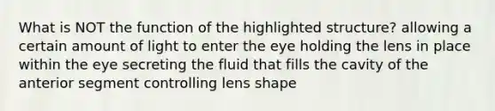 What is NOT the function of the highlighted structure? allowing a certain amount of light to enter the eye holding the lens in place within the eye secreting the fluid that fills the cavity of the anterior segment controlling lens shape