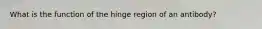 What is the function of the hinge region of an antibody?