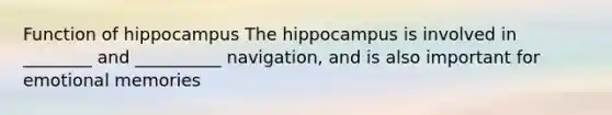 Function of hippocampus The hippocampus is involved in ________ and __________ navigation, and is also important for emotional memories