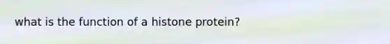 what is the function of a histone protein?