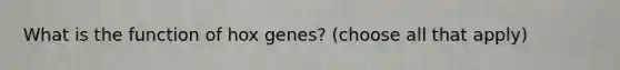 What is the function of hox genes? (choose all that apply)